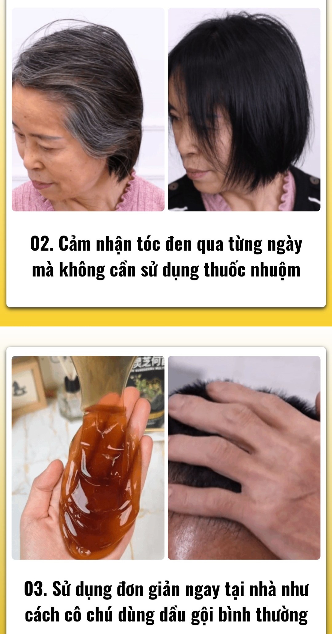 Dầu gội cao phủ bạc linh chi đen