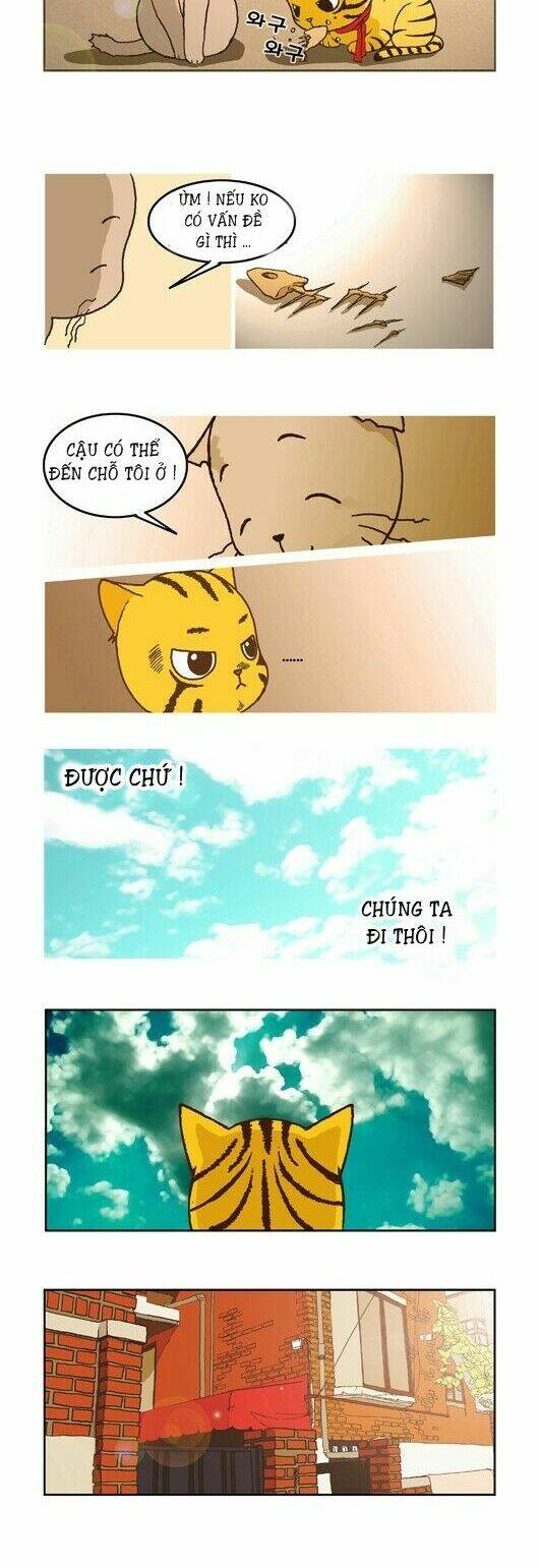 papi nyang chapter 4 11