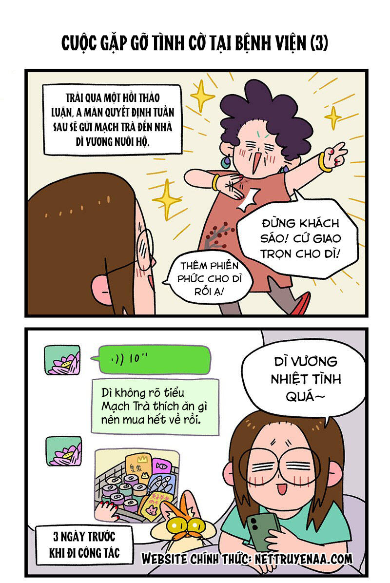 a mãn và mạch trà chapter 33 5