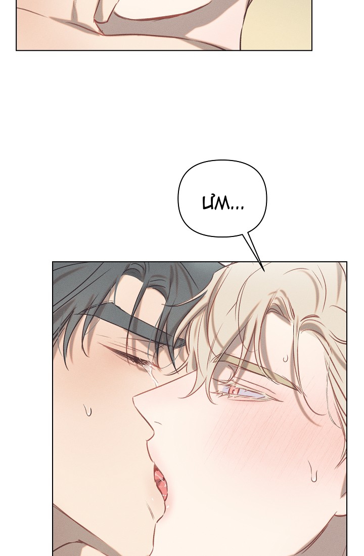 nơi tình yêu định mệnh chapter 11 36