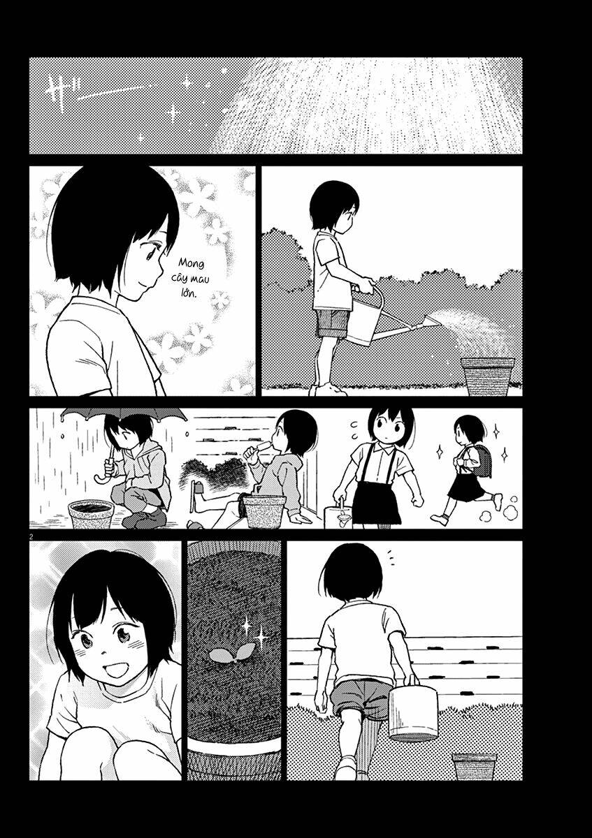 stretch chapter 14 3