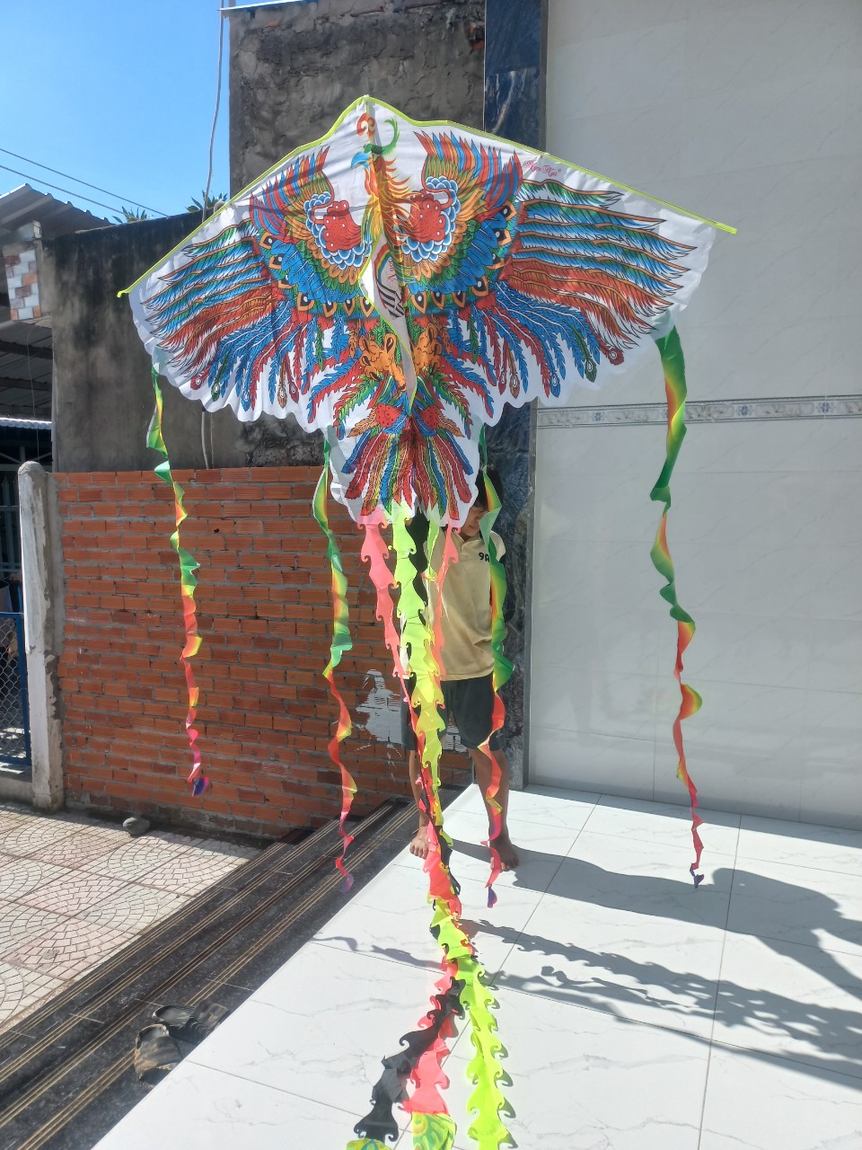 Diều phụng 9 đuôi siêu to khổng lồ 180x350cm