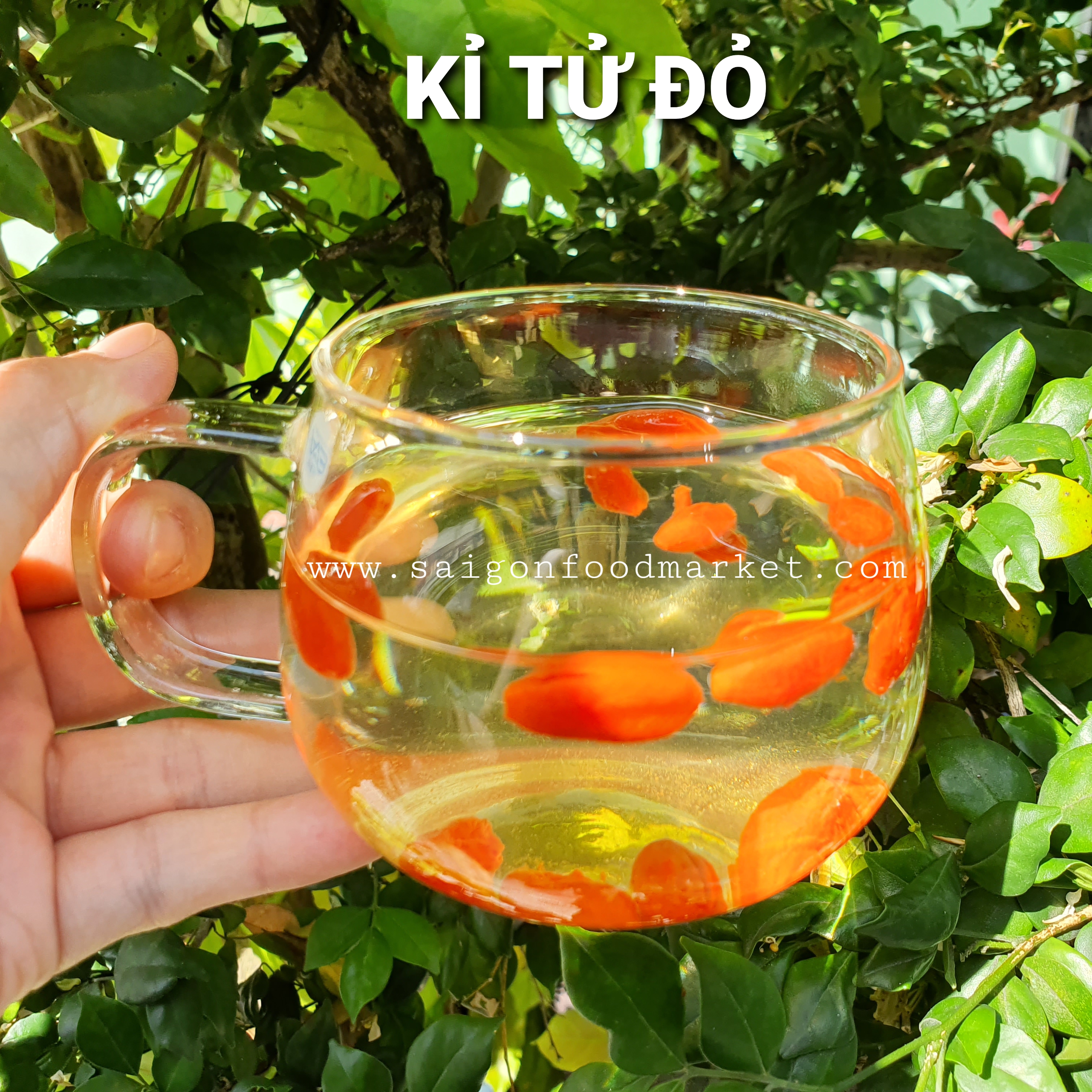 KỈ TỬ ĐỎ TÂY TẠNG 100GRAM