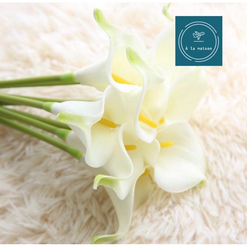 Hoa giả - Calla LiLy nhí 35cm mô phỏng giống thật, hoa cô dâu, hoa decor trang trí