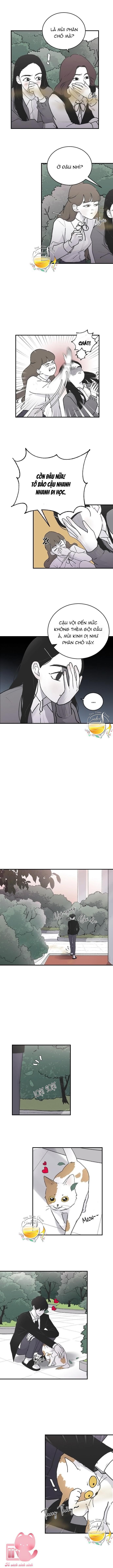 ba anh trai cực phẩm của tôi chapter 4 4