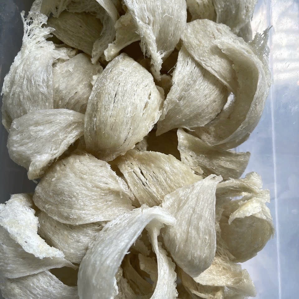 [HGK-K1] Yến Sào Tinh Chế Rút Lông Cao Cấp - Yến Sào Hòn Gốm Khánh Hòa - HGK NEST