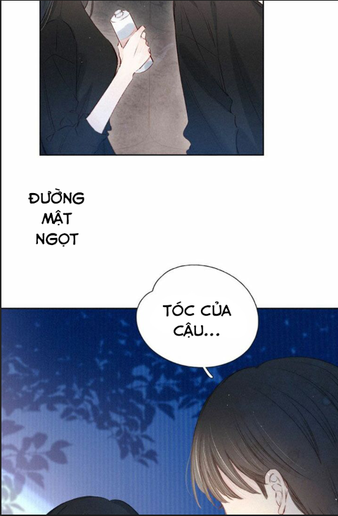 nỗi buồn của hoa cẩm tú cầu chapter 21 16