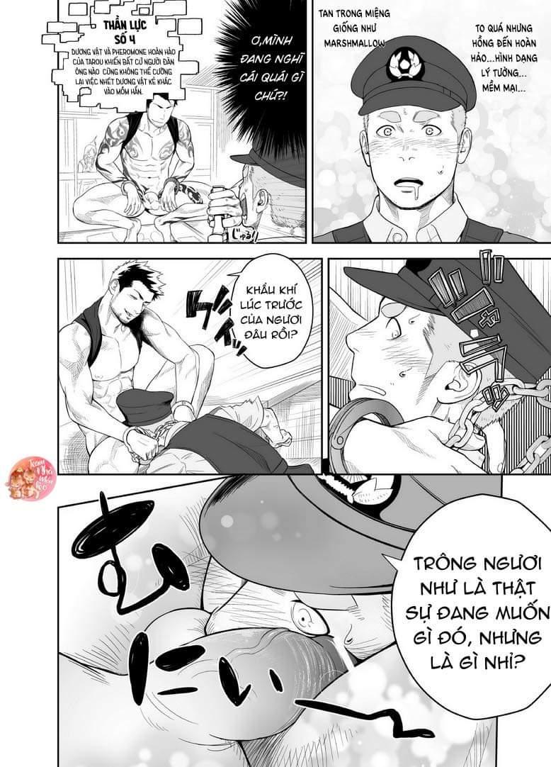 oneshot bl từ nhiều tác giả - mlèo dịch chapter 113 9