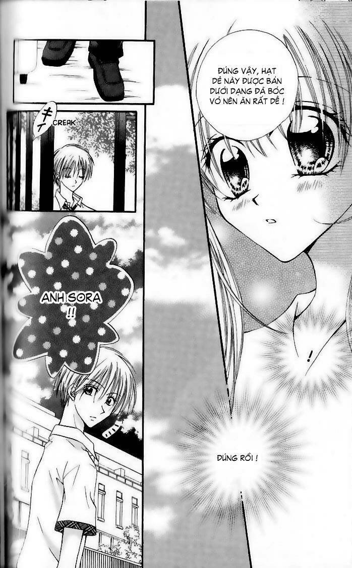 kitchen no ohime-sama - nàng công chúa bánh ngọt chapter 15 11