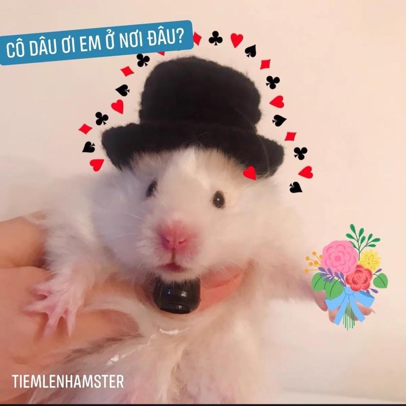 mũ nón cô dâu chú rể cho hamster