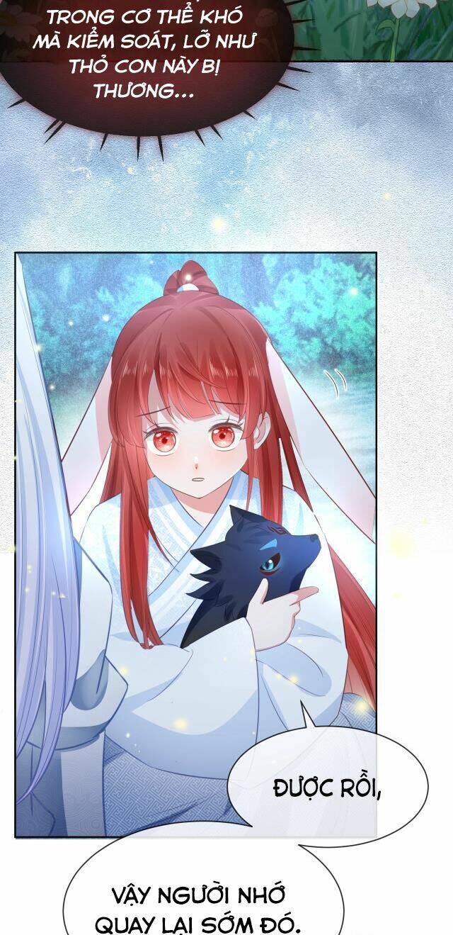 hắc hóa nam chính trực tuyến nuôi thỏ chapter 20 14