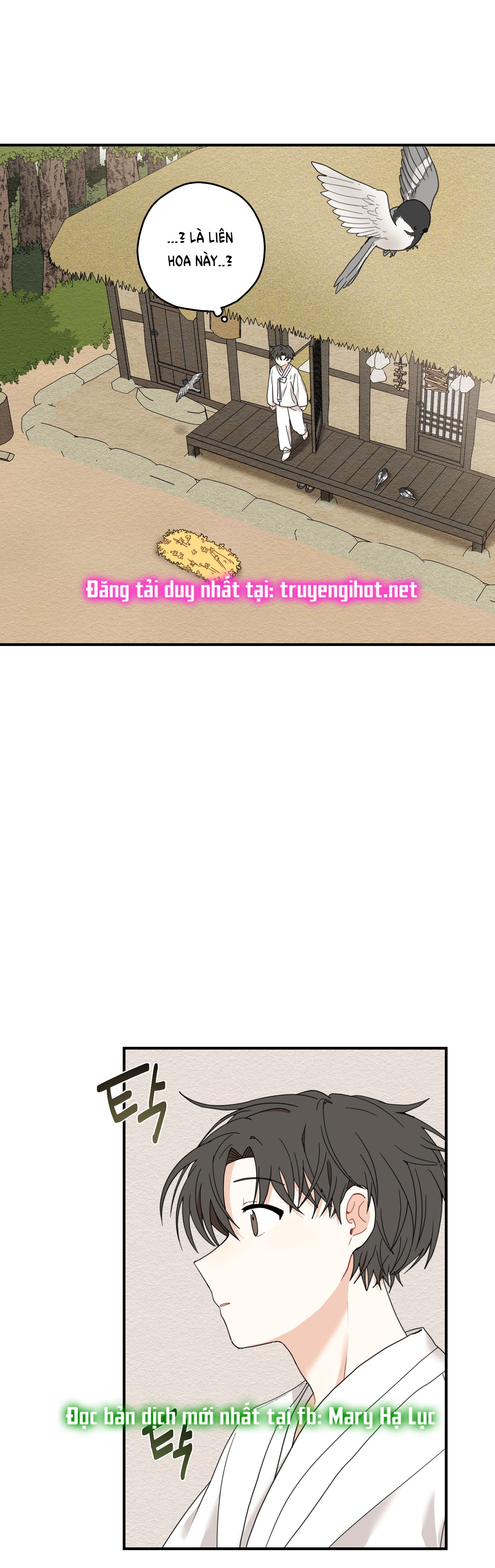[18+] con đường hoa chuông vàng - liên kiều rơi chốn này chapter 6.1 21