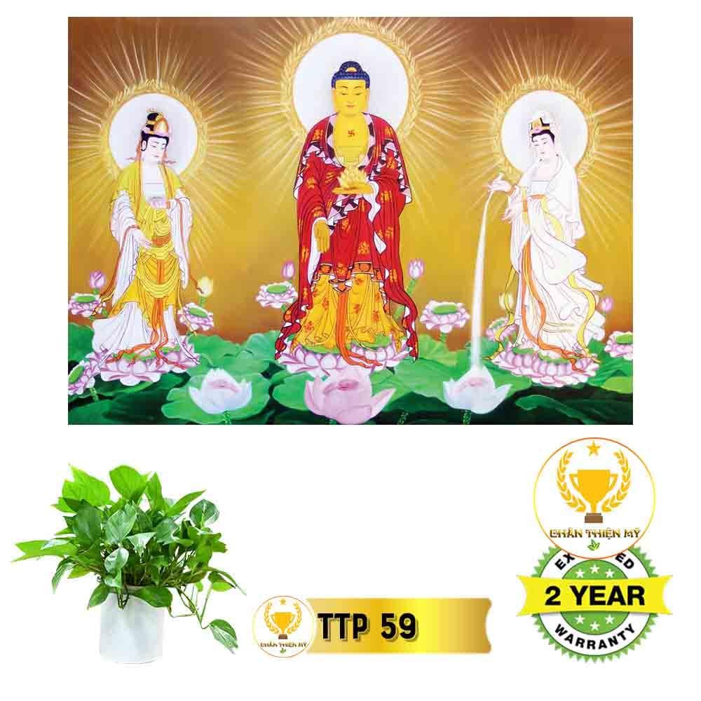 Tranh điện Tam Thế Phật_TTP6