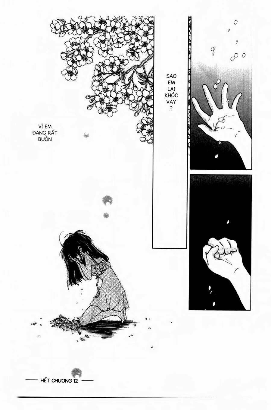 tìm ánh trăng tròn chapter 11 36