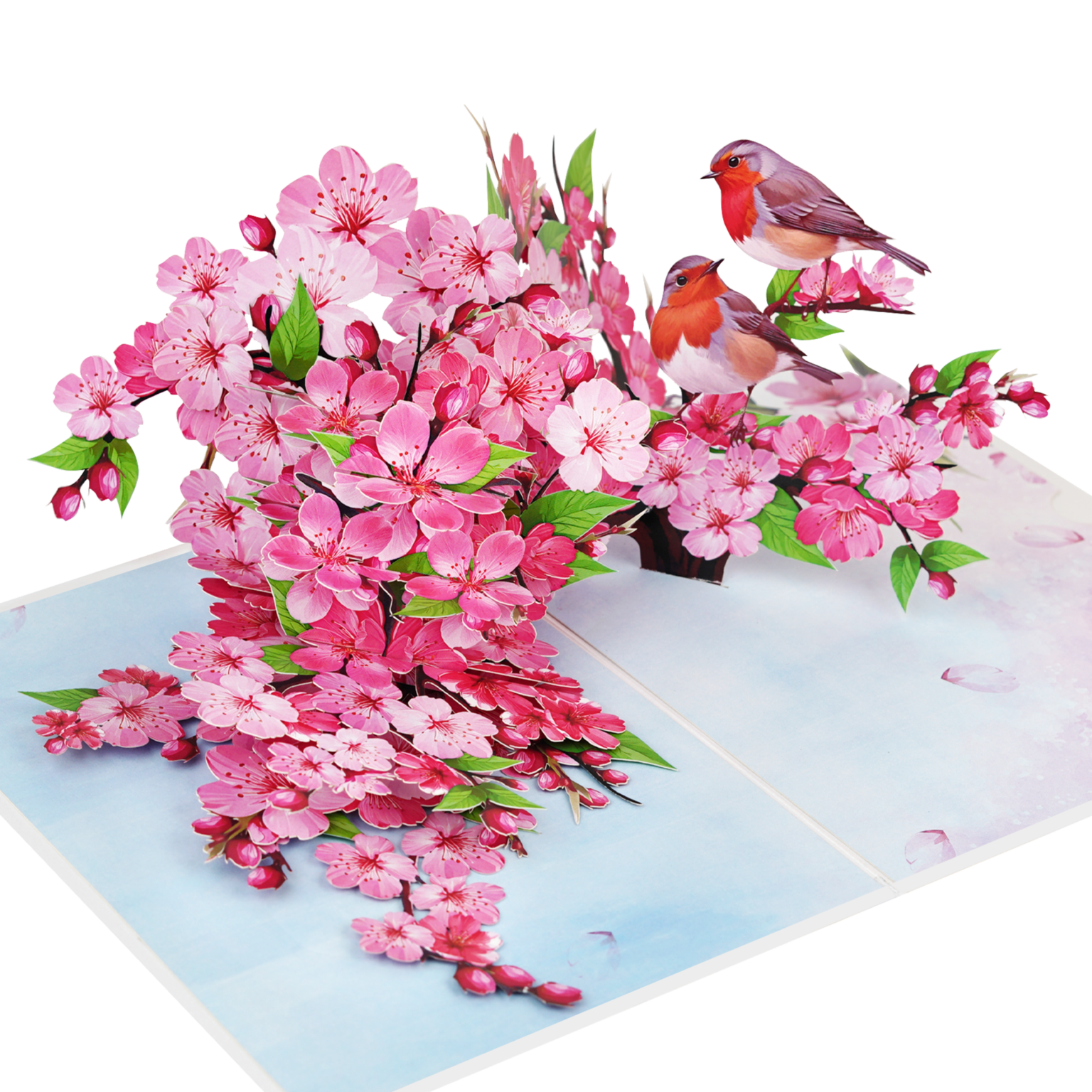 Thiệp 3D Pop Up Hoa Anh Đào &amp; Chim – Thiệp Nghệ Thuật, Thiệp Chúc Mừng, Sinh Nhật, Nhật Bản, F50