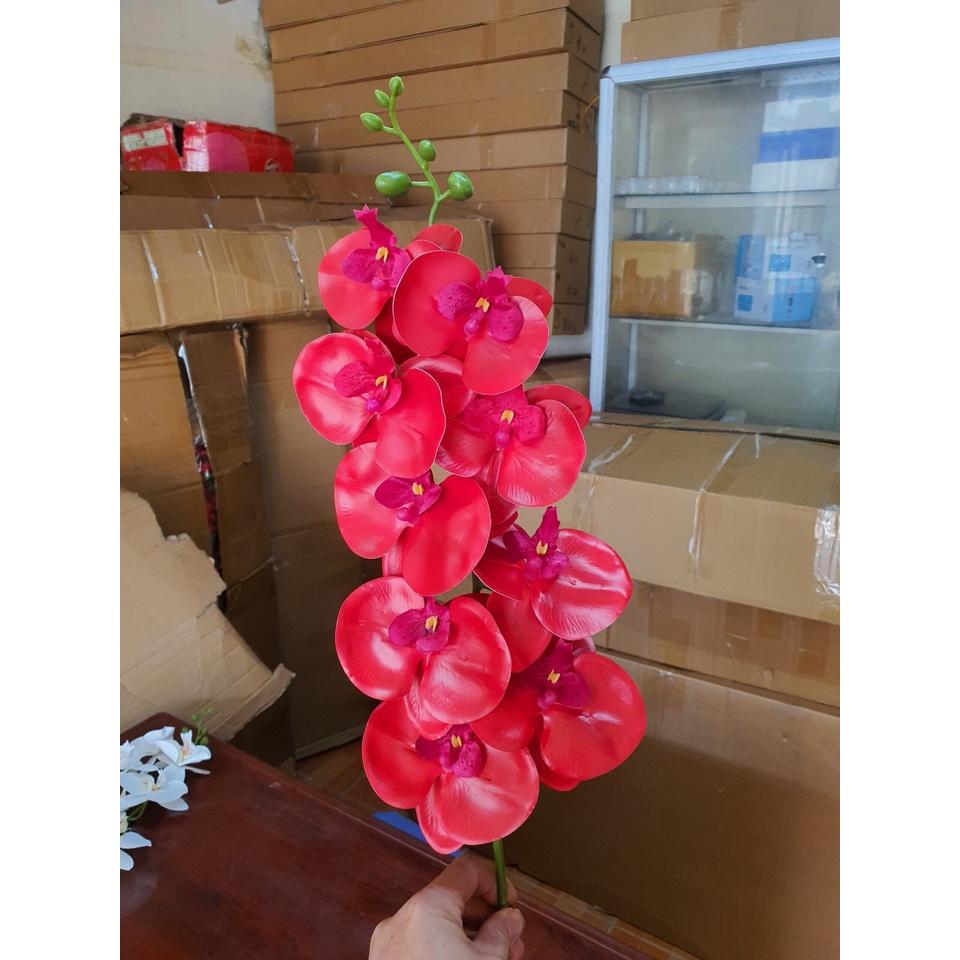 Cành lan hồ điệp giả 9 bông chất cao su non, hàng đẹp.