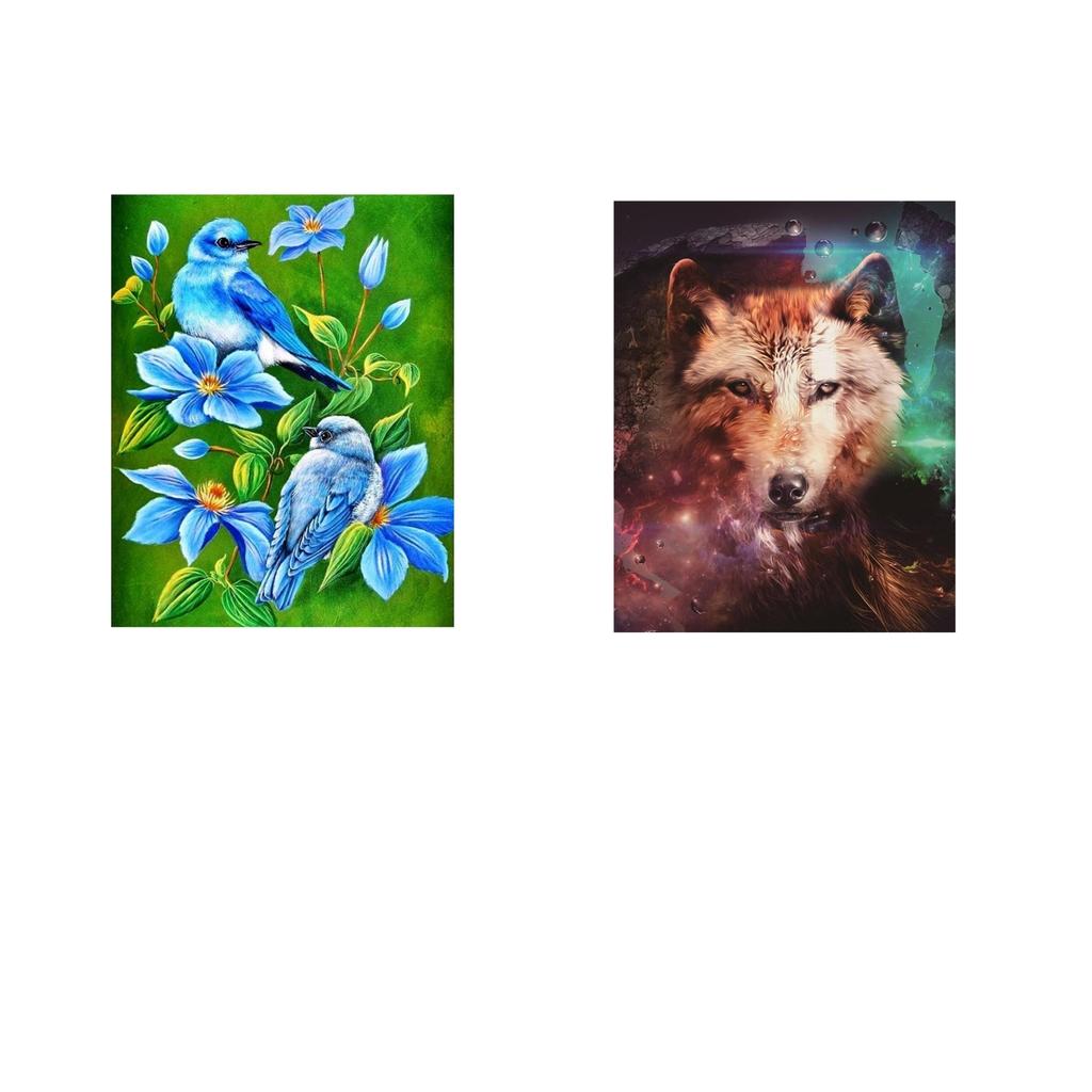 5D Diamond Painting Cross Stitch Kit Bird