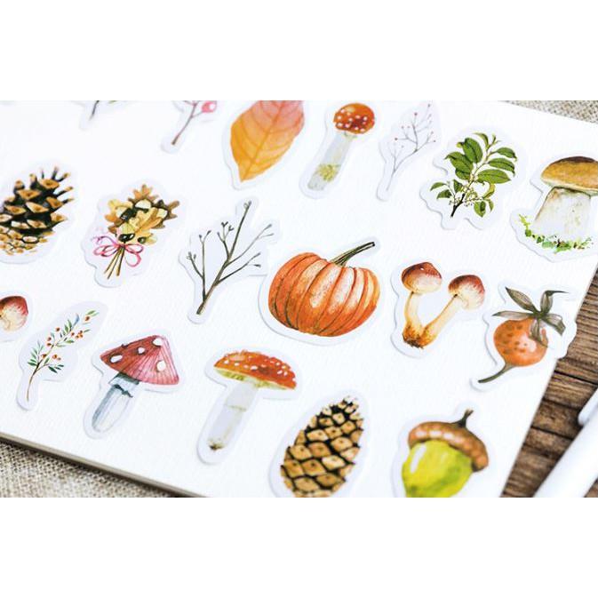 Bộ 46 Sticker Cây Nấm Hàn Quốc dán trang trí E59
