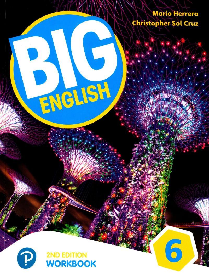 Big English Ame 2nd Edition Workbook With Audio CDs Level 6