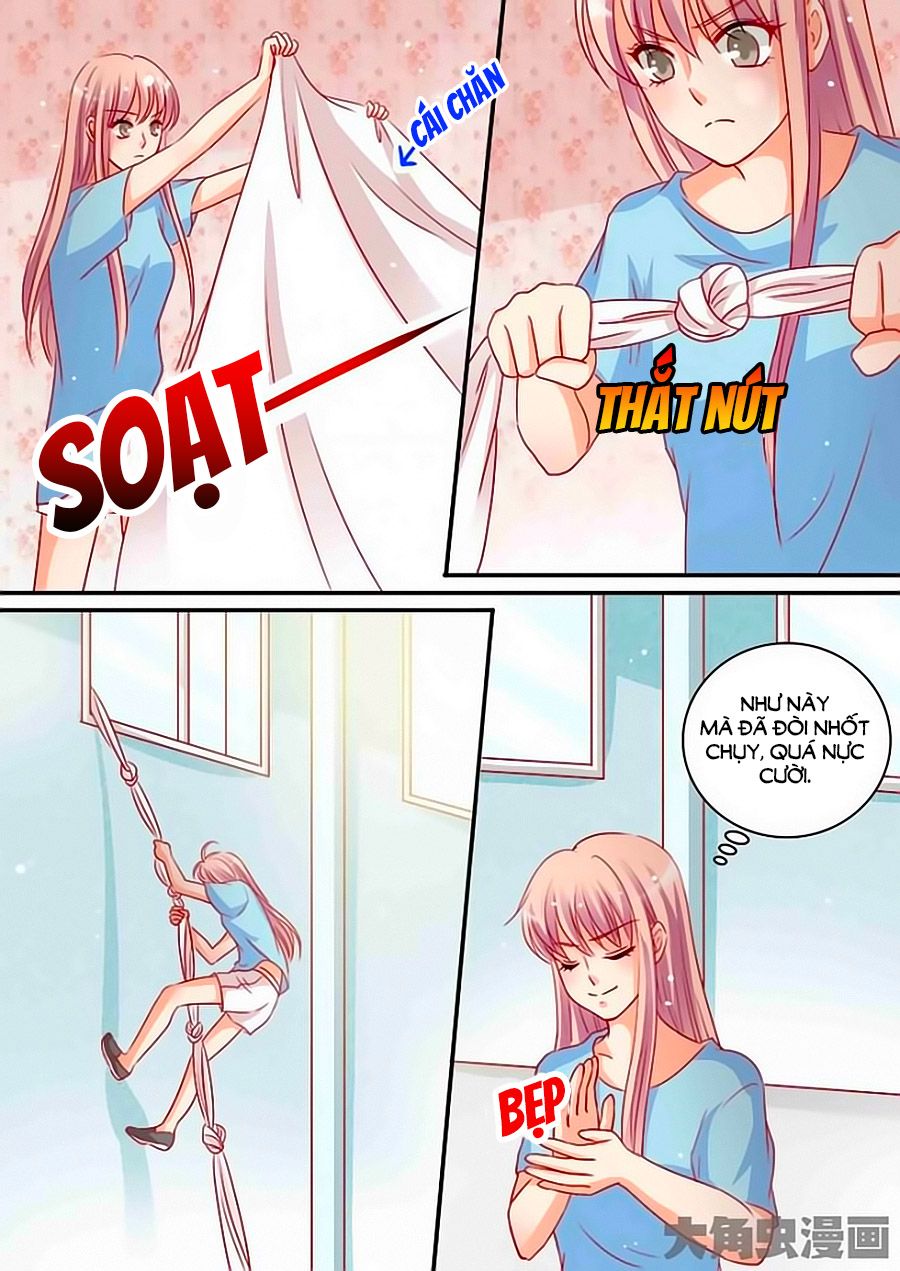 Bá Đạo Tổng Tài Yêu Ta chapter 96 - Trang 7