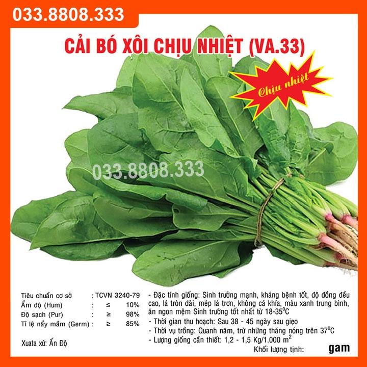 HẠT GIỐNG RAU CẢI BÓ XÔI 20G - TRỒNG RAU TẠI NHÀ