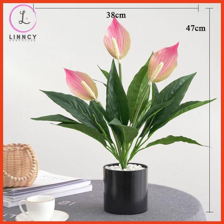 Chậu Hoa Để Bàn Bình Hoa Lan Ý Sang Trọng Cao 47cm Trang Trí Phòng Khách Cửa Hàng Văn Phòng