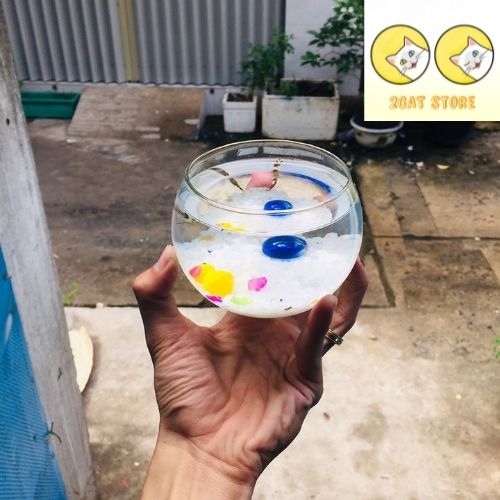 Chậu thủy tinh mini , bể cá mini tròn 10cm
