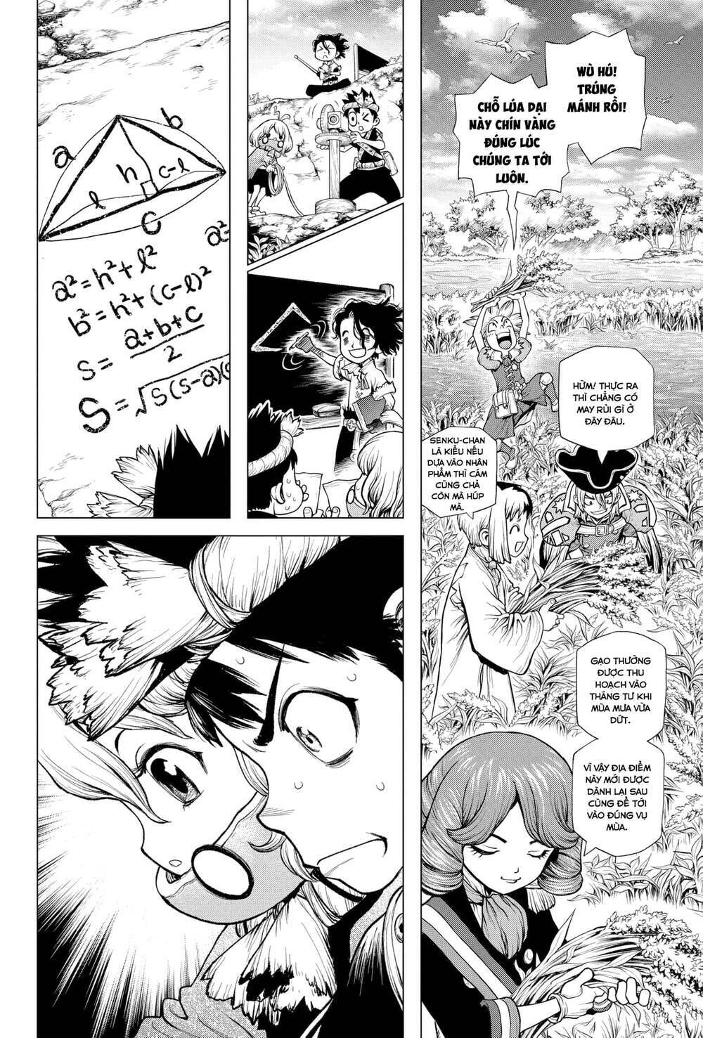 dr.stone - hồi sinh thế giới chapter 211 13