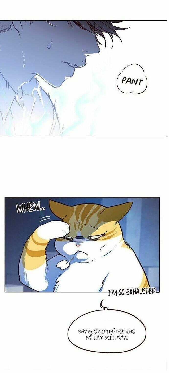 biến thân thành mèo chapter 8 53