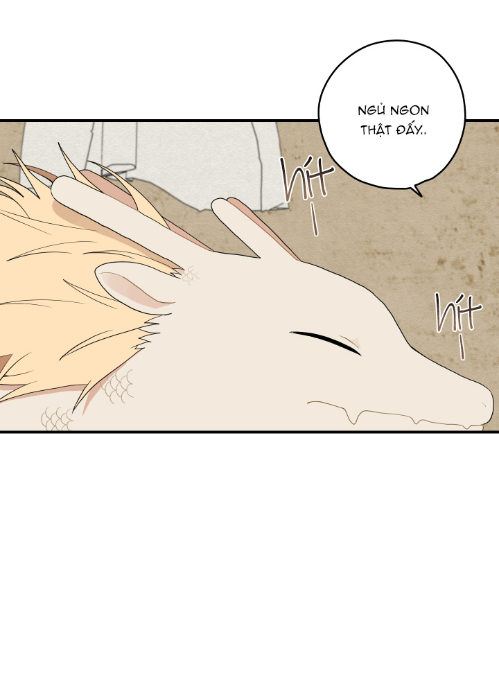 đường hoa liên kiều rơi chapter 18 15