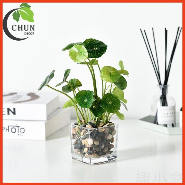Cây giả - Cây rau má nhựa trang trí bể cá, tiểu cảnh