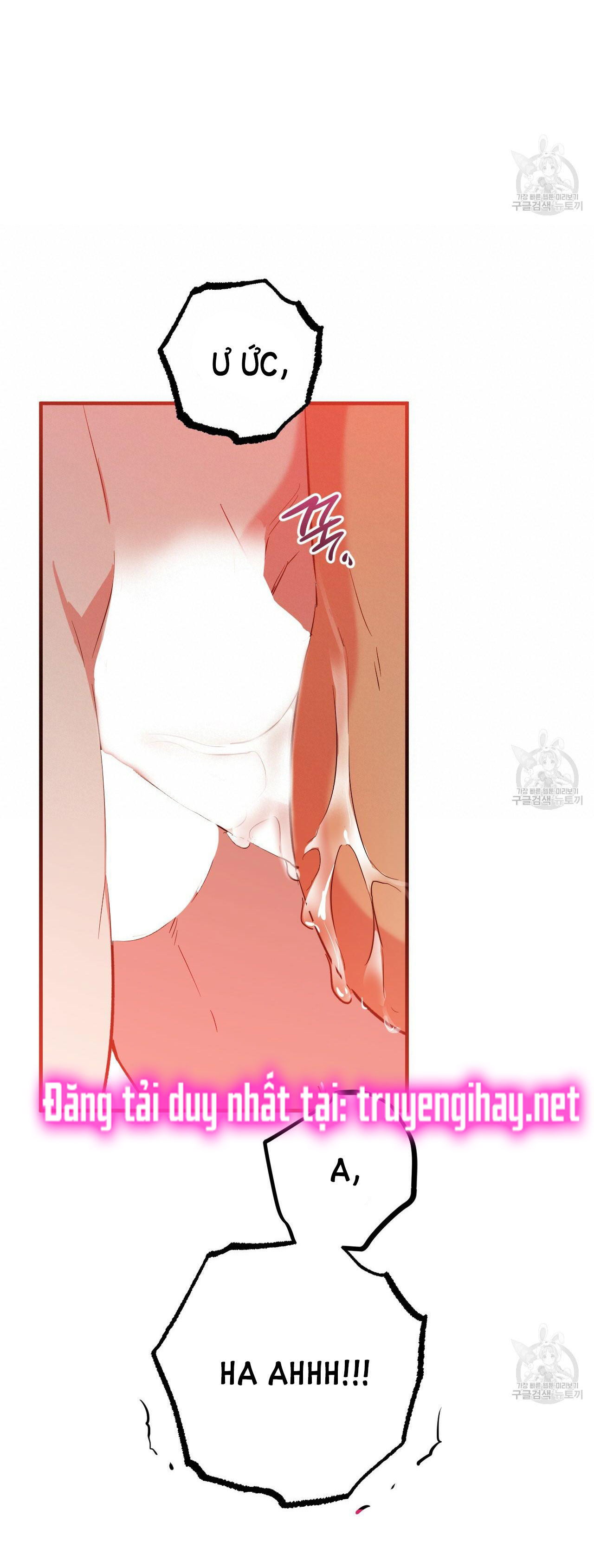 những chú thỏ của hapypy chapter 54.2 32