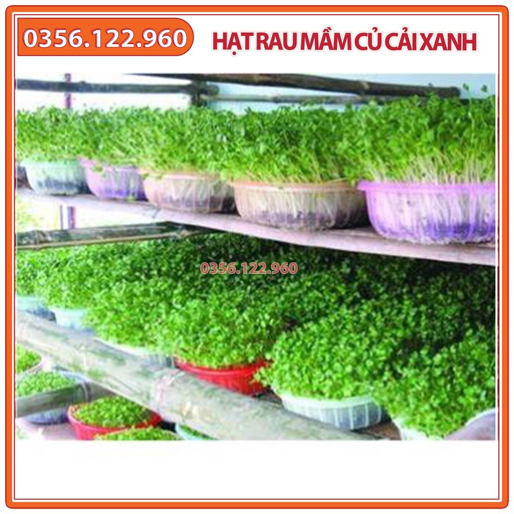 Hạt rau mầm rau Củ cải Trắng - gói 1kg