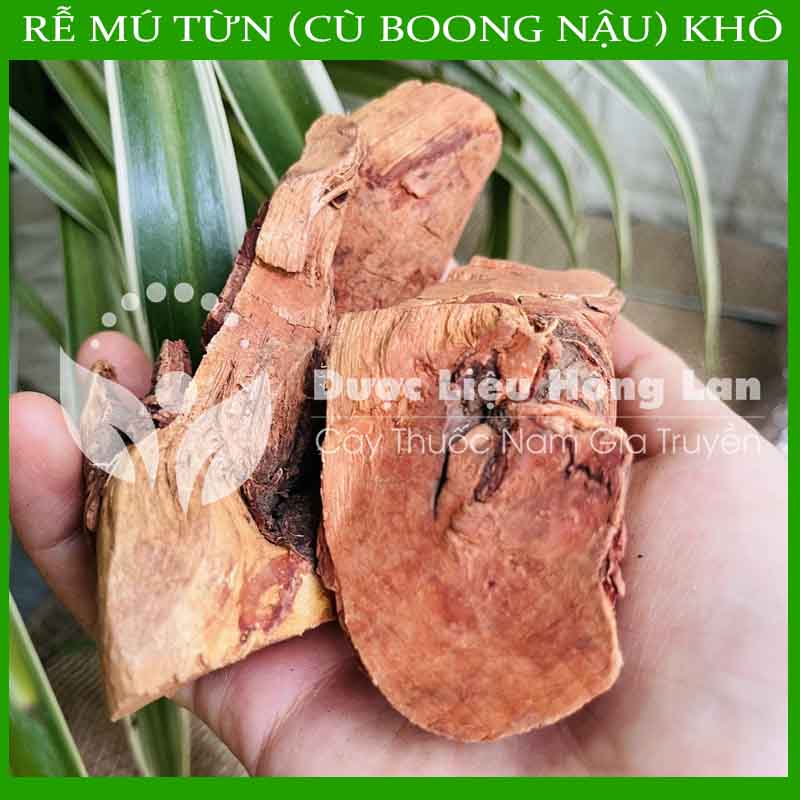 1kg Rễ Cây Mú Từn (Cù boong nậu) khô