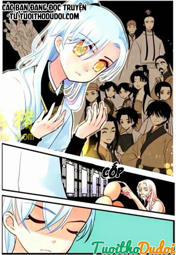 hoa phi hoa chapter 19 2