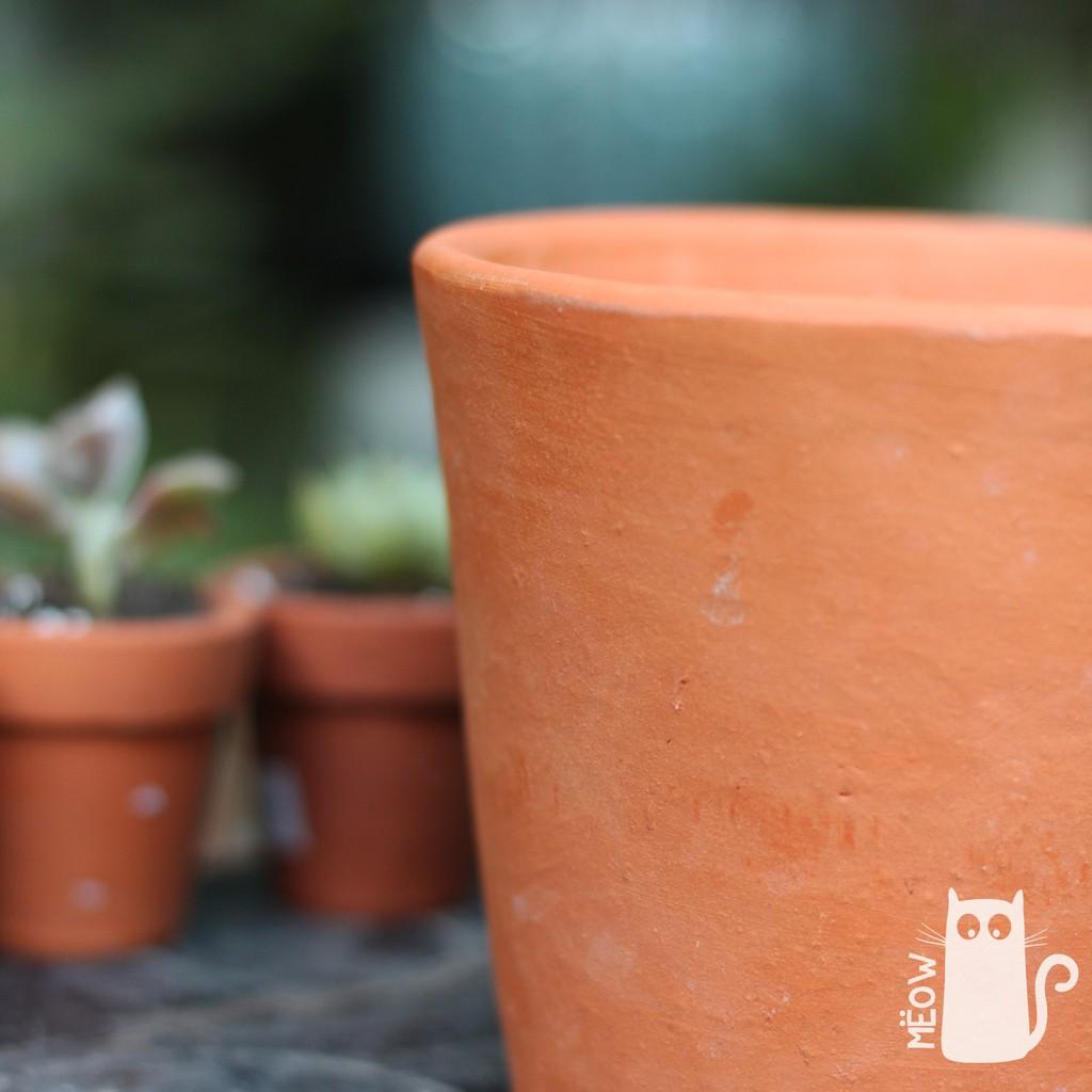 Chậu đất nung Ly trung 13x11 | Chậu trồng cây, sen đá, xương rồng