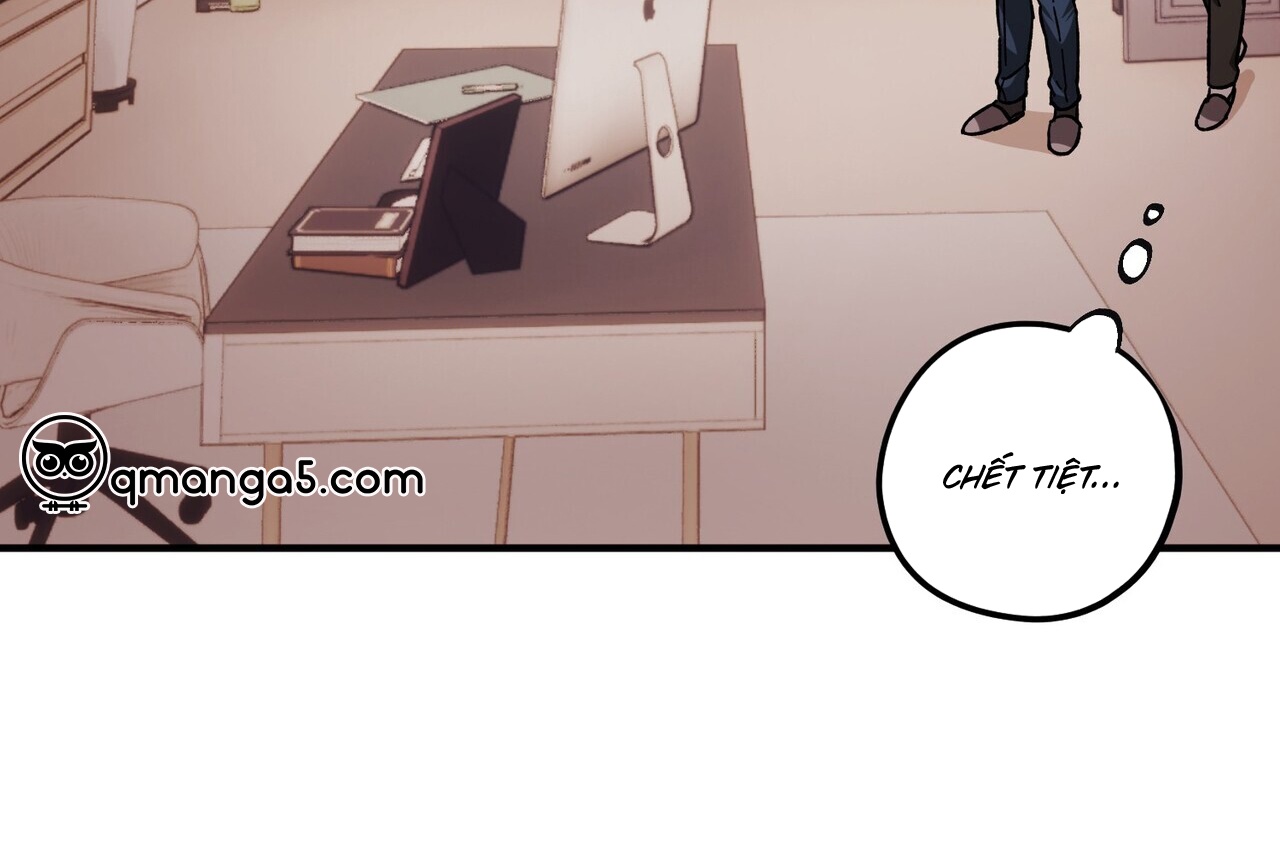 chàng dâu nhà họ kang chapter 40 135