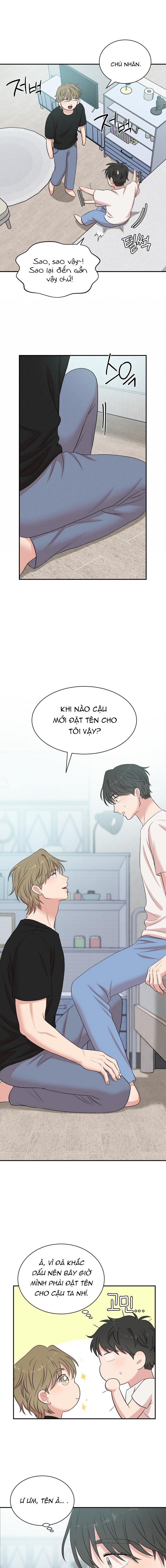 xin chủ nhân hãy khắc dấu chapter 17 12