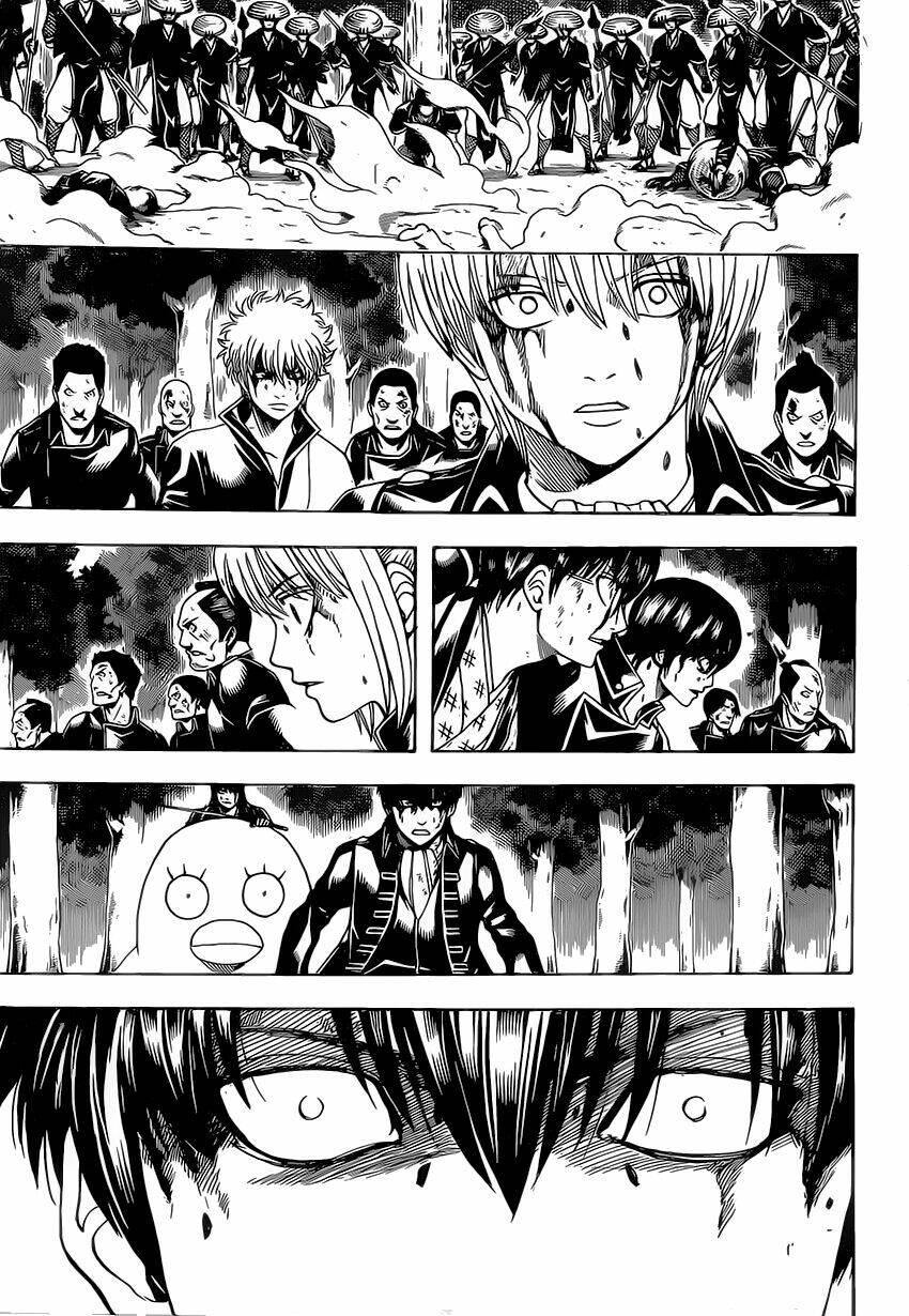 gintama - linh hồn bạc chapter 546 17