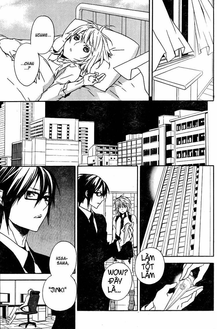 sekirei chapter 81 15