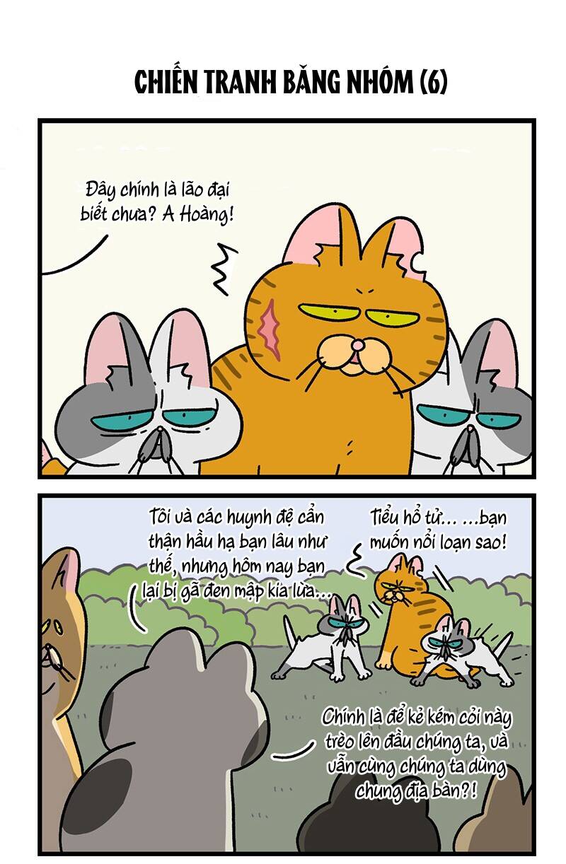 a mãn và mạch trà chapter 43.1 5