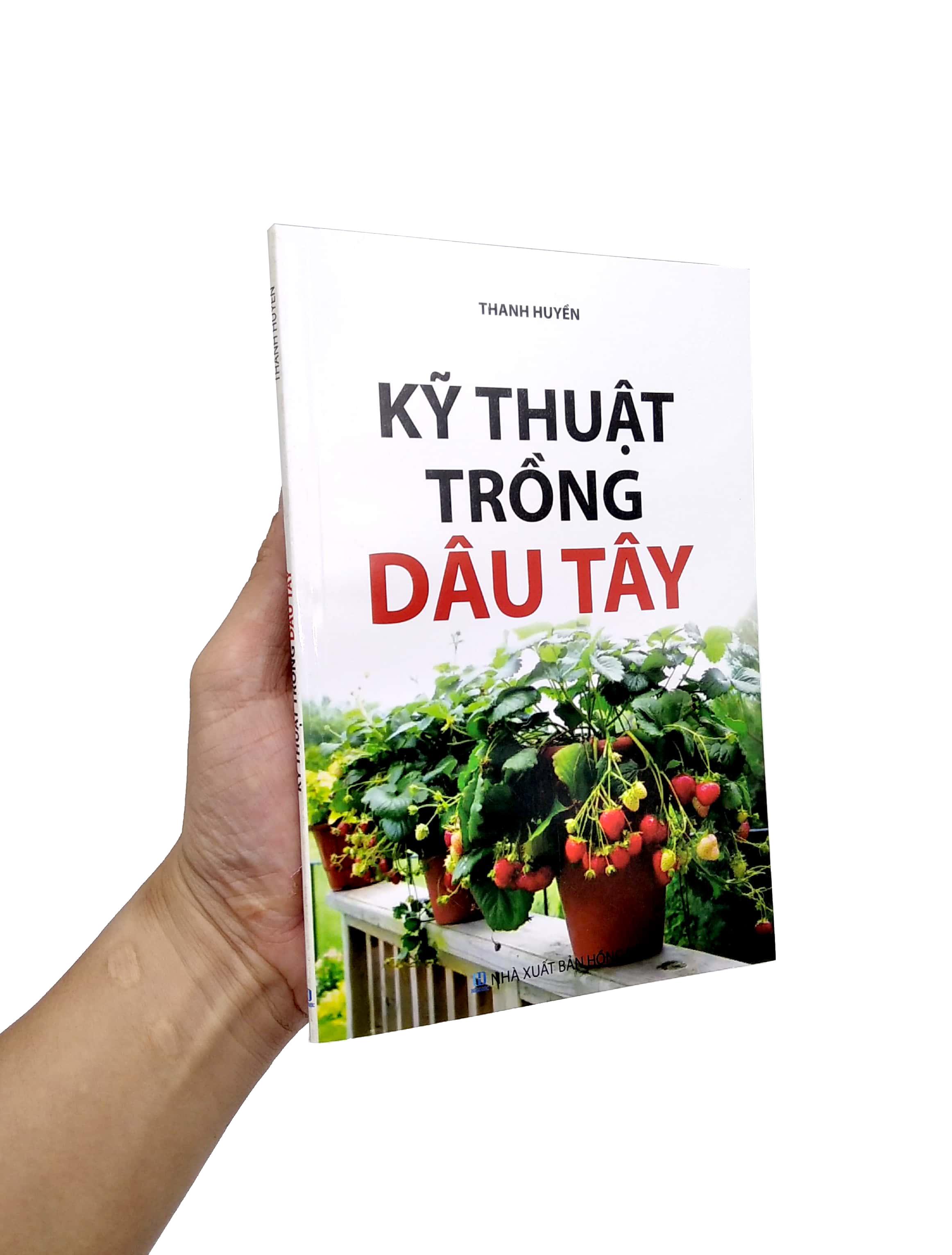 Kỹ Thuật Trồng Dâu Tây