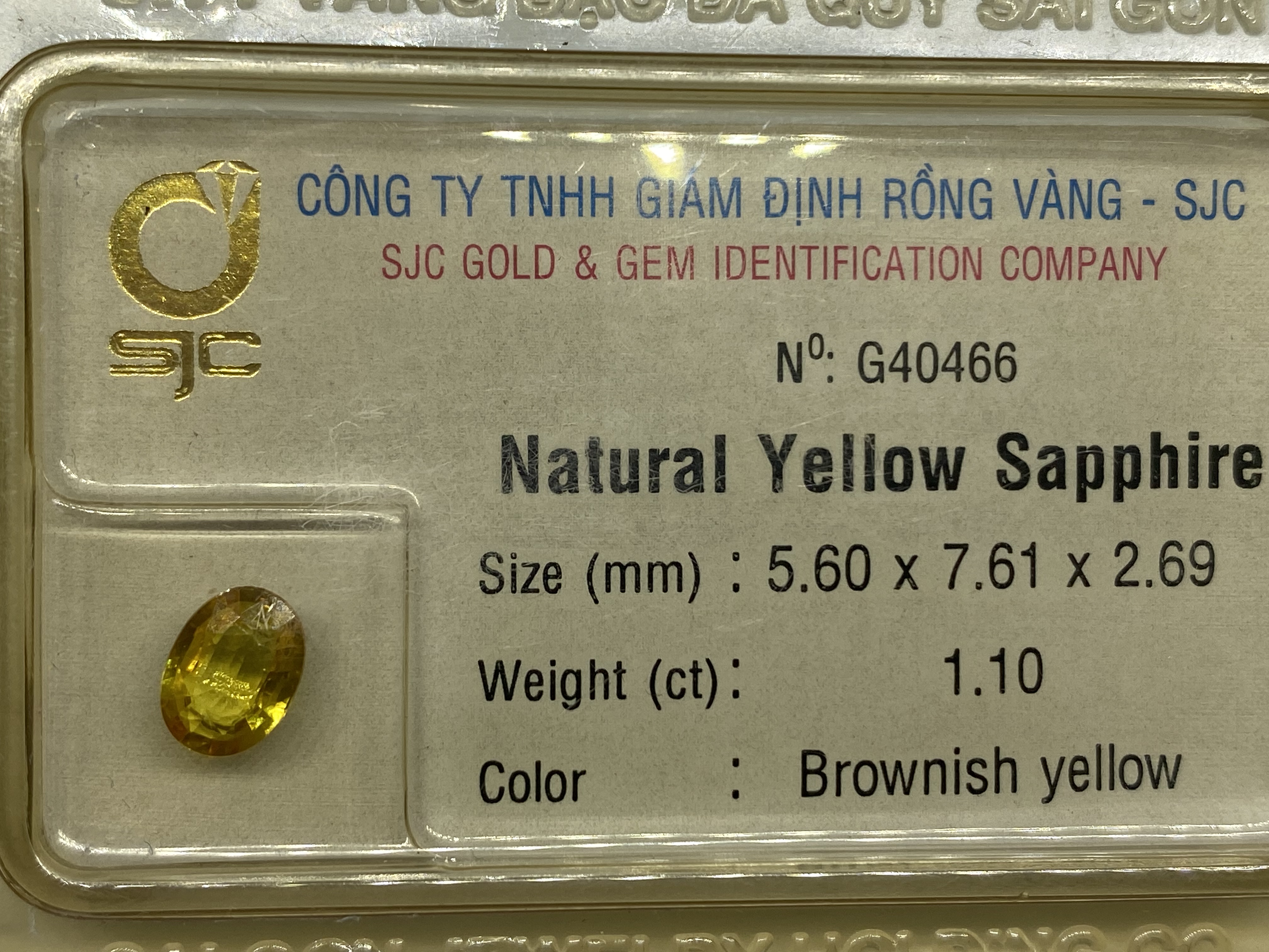 Viên sapphire vàng thiên nhiên 1.1ct 40466