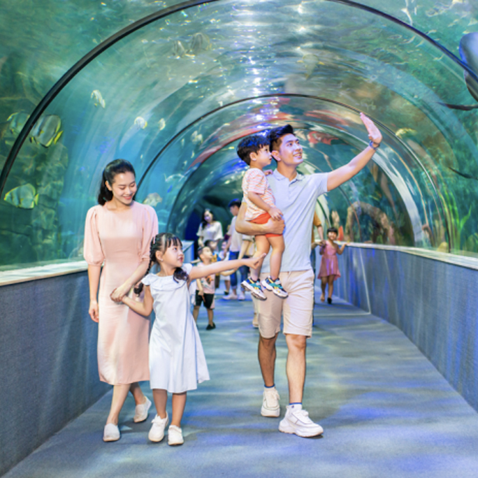 Vé vào cửa em bé tại Thủy Cung Aquarium - Áp dụng cho khách hàng từ 80cm đến dưới 140 cm (T7, CN, Lễ)