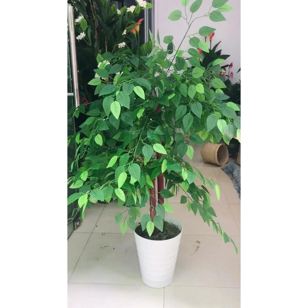 Cây si giả - Size từ 120cm đến 150cm - Cây giả, hoa lụa trang trí nhà cửa