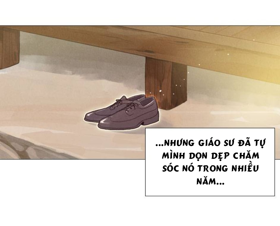 tình yêu như một giấc mộng hè chapter 2 3