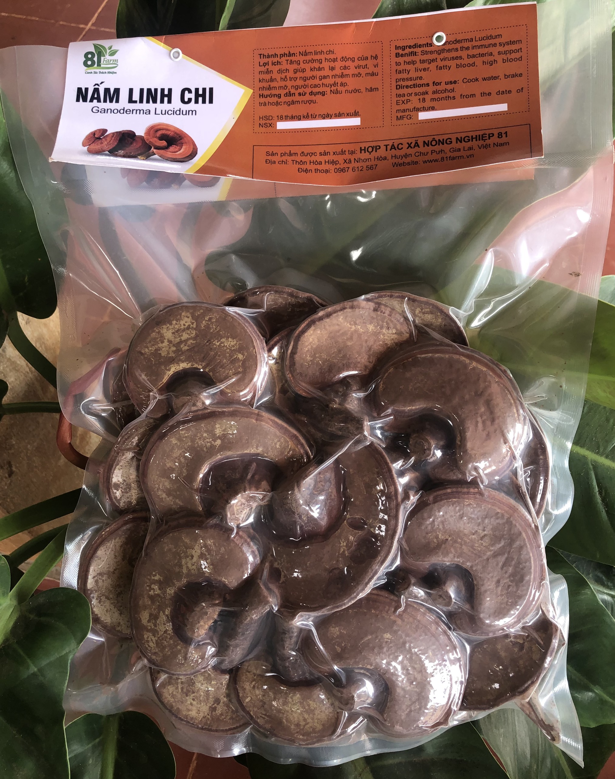 Nấm Linh Chi Đỏ Nguyên Bào Tử 500 Gram