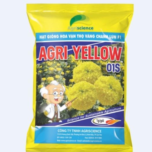 Hạt giống hoa Vạn Thọ vàng chanh Lùn F1 - AGRI YELLOW 01S