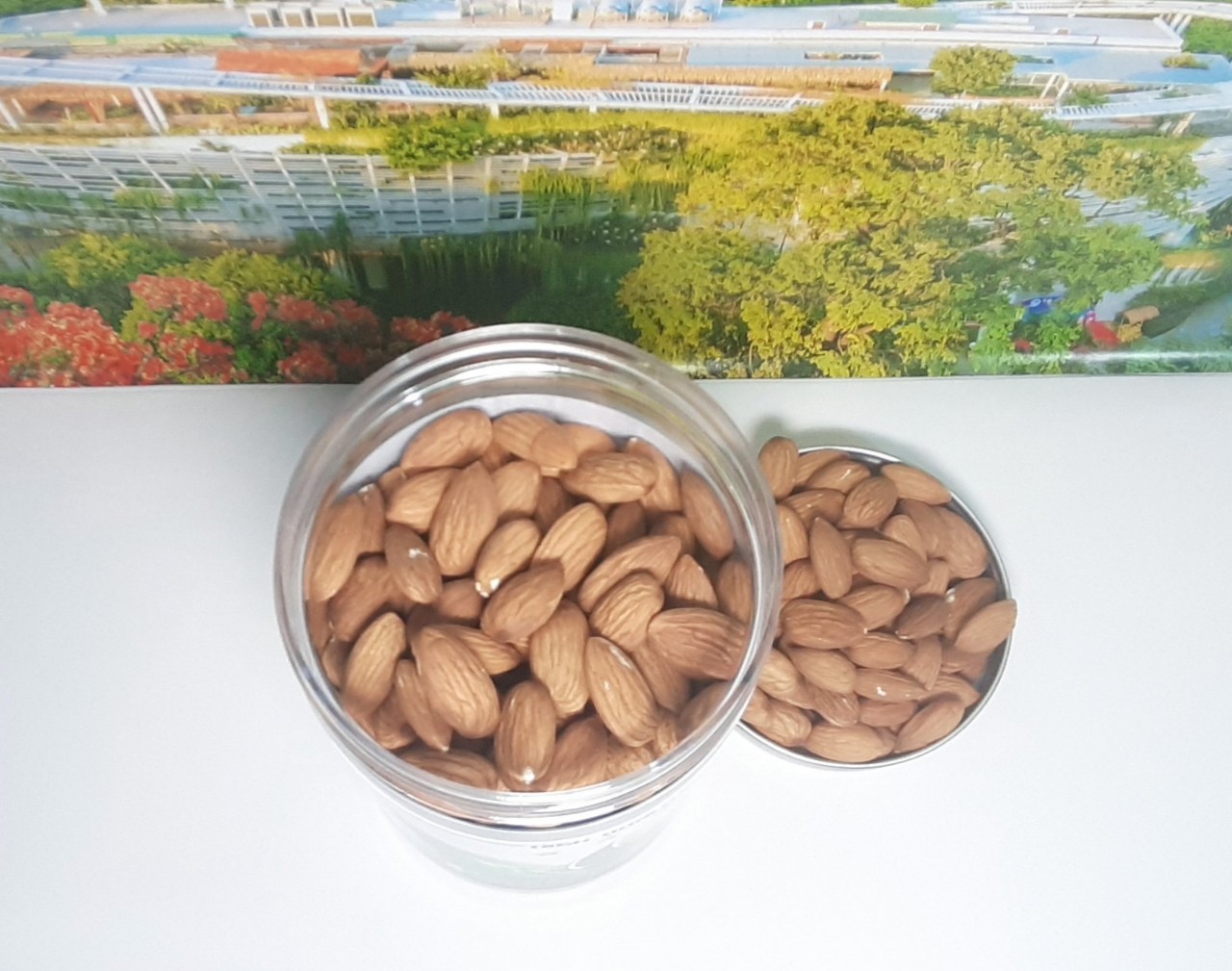 500G Hạnh nhân tươi Mỹ Califarms