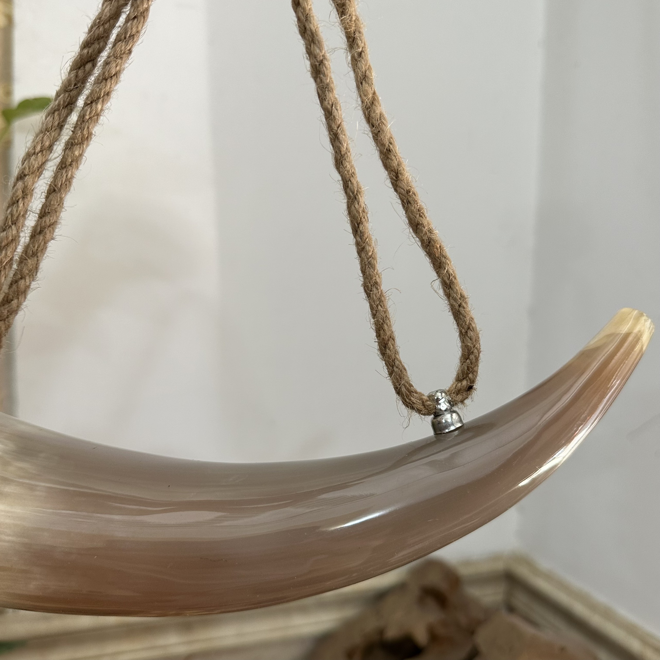 Kèn tù và sừng bò tự nhiên - Lưỡi gà bằng đồng cho âm thanh to vang xa - Màu sắc sừng tự nhiên